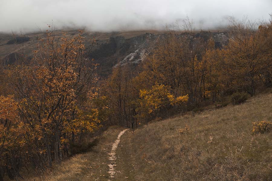 Un cammino dentro se stessi attraverso le storie che leggiamo