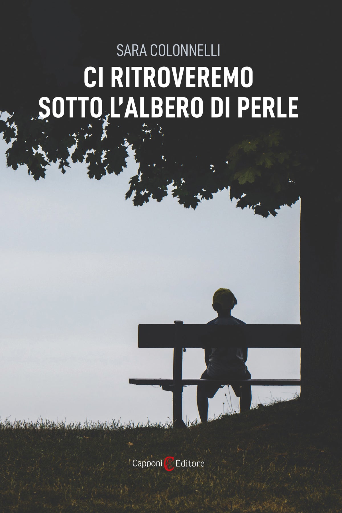 Ci ritroveremo sotto l'albero di perle