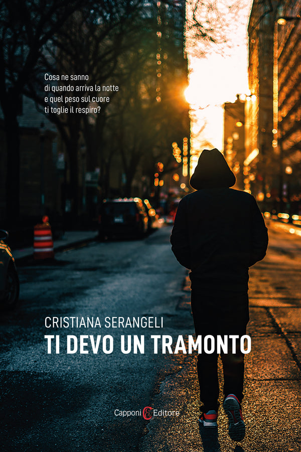 Ti devo un tramonto