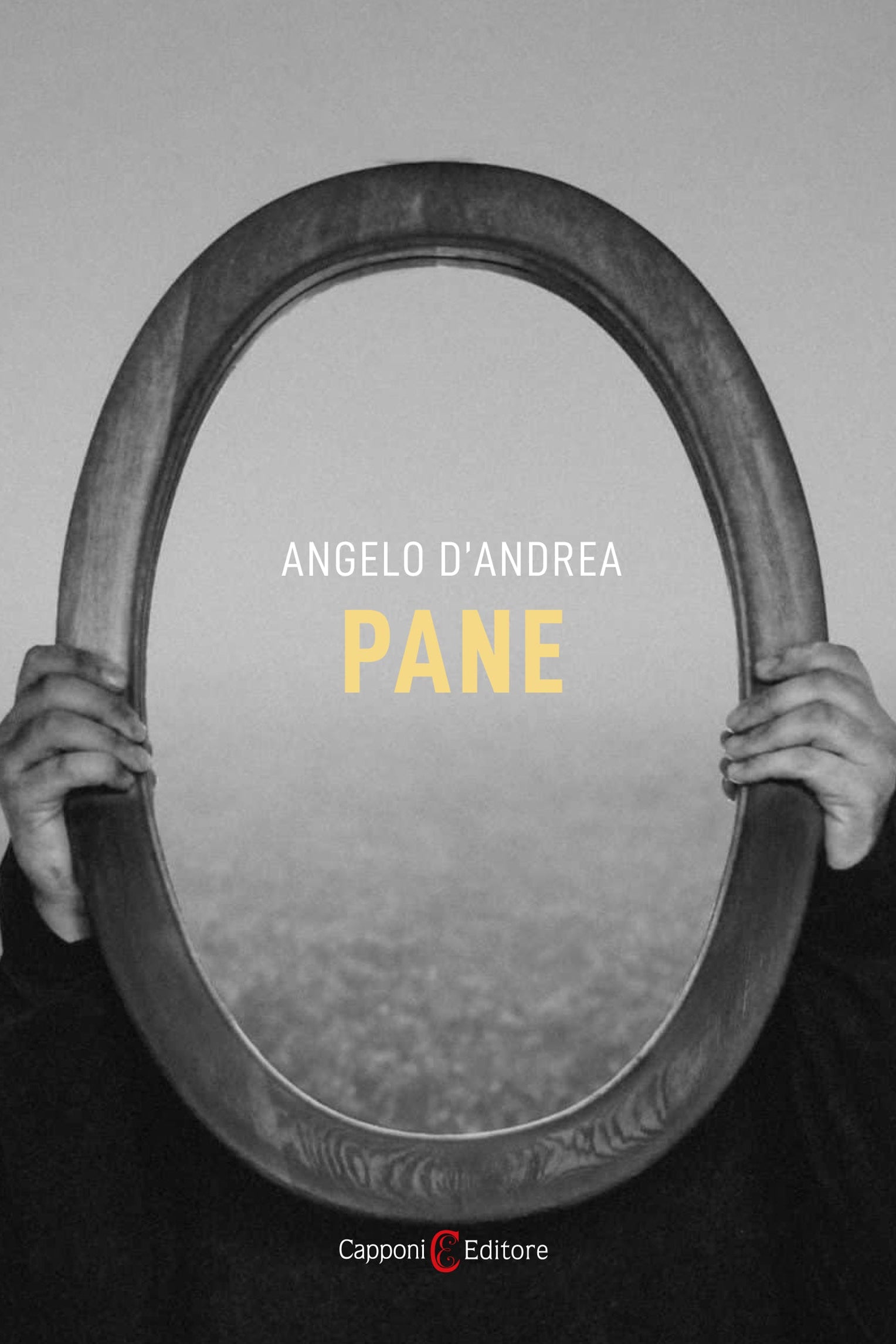 Pane